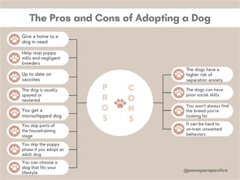  Adoption vs Buying: Pros and Cons 