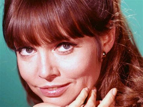 A Glimpse into Barbara Feldon's Life and Career