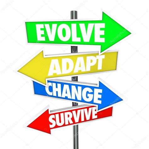 Adapt and Evolve Your Approaches