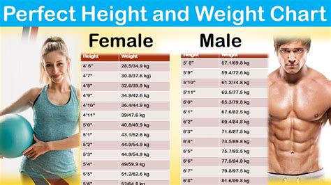 An in-depth look at the body measurements and physique of Channel Sweets