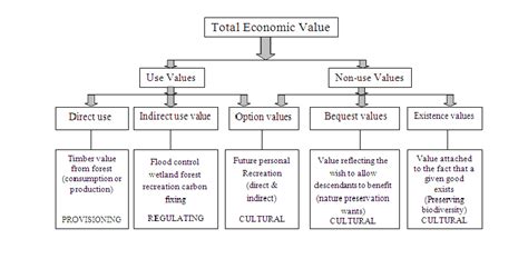 Assessing Avalon Heart's Financial Value