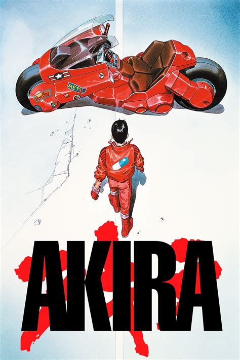 Beyond the Surface: Exploring Dirty Akira's Physique