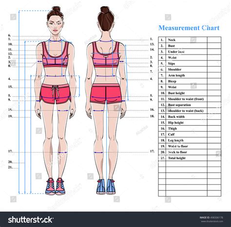 Body measurements and figure