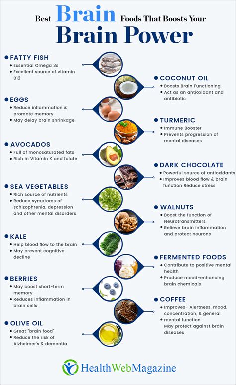 Brain on the Menu: Top Foods for Concentration and Focus