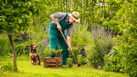 Choosing the Perfect Spot for Your Garden