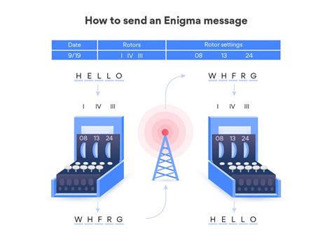 Cracking the Enigma: Analyzing Novaruu's Economic Standing