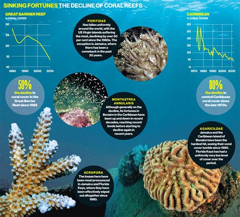 Creating a Global Network: Marianella Coral's Impact