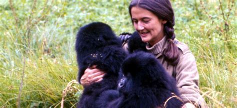 Debunking Misconceptions about Daisy Fossey's Stature