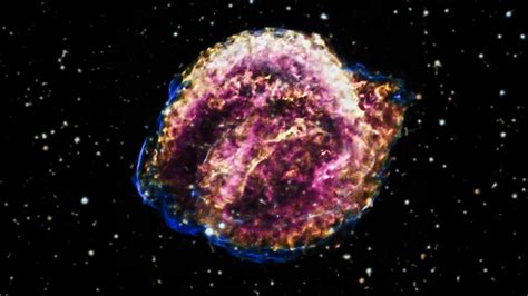 Delorosa's Biography: From Modest Origins to Supernova Success