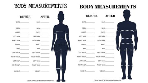 Detailed body measurements and stats
