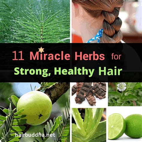 Discover the Power of Natural Remedies for Enhancing Hair Growth