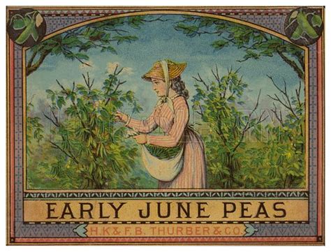 Discovering the Age and Early Years of June Pea: A Glimpse into Her Journey