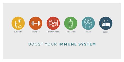 Enhanced Immune System and Overall Well-being