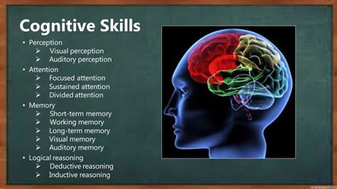 Enhances Brain Function and Cognitive Abilities