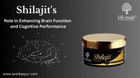 Enhancing Brain Function and Cognitive Performance