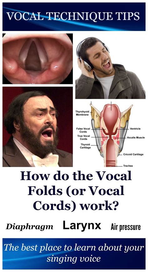 Essential Factors to Consider When Enhancing Your Site for Vocal Exploration