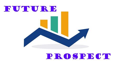 Estimated Fortune and Future Prospects
