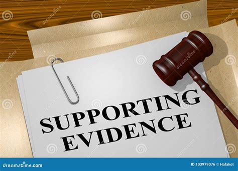 Examination of the Allegations and Supporting Evidence