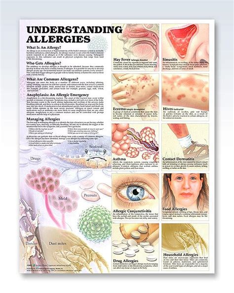Examining Allergies and Health Considerations