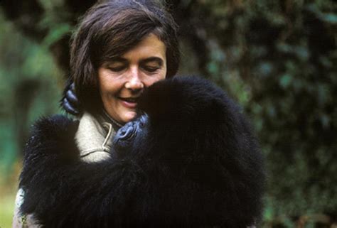 Exploring Daisy Fossey's Career Journey