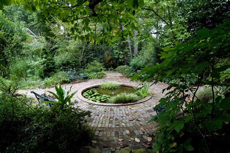 Exploring Elizabeth Lawrence's Garden: A Glimpse into Her Botanical Paradise