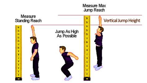 Exploring Height: Looking Beyond Vertical Measurements