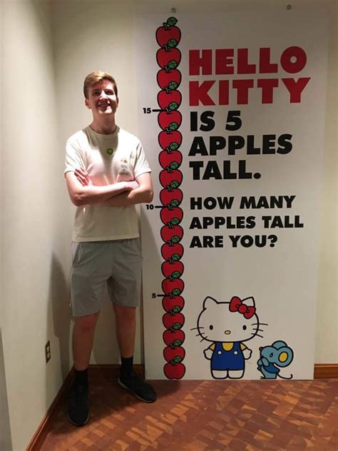 Exploring Kitty's Height: From Petite to Tall