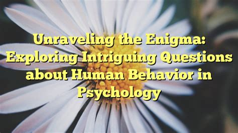Exploring Kuran's Enigma: Unraveling the Intriguing Elements of His Personality