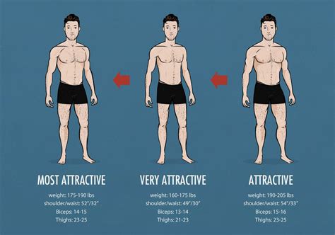 Exploring Physical Characteristics: Stature and Physique Insights