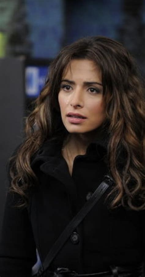 Exploring Sarah Shahi's Filmography