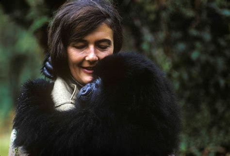 Exploring Significant Milestones in the Life of Daisy Fossey