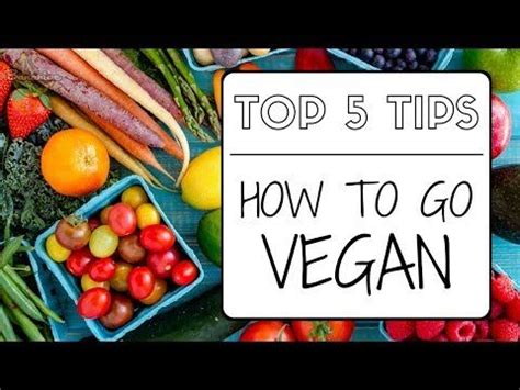 Exploring the Journey and Impact of the Influential Vegan YouTuber