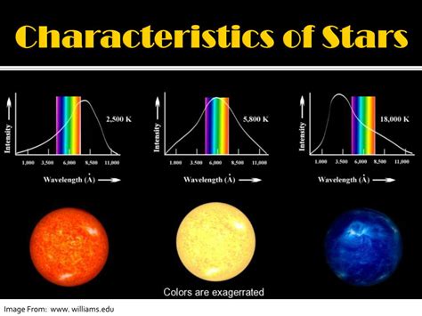 Exploring the Physical Attributes of the Enigmatic Star