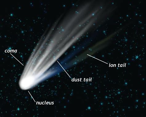 Exploring the Unique Attributes of Comet Nox