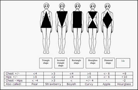 Figure: Understanding Erin Fox's Body Measurements