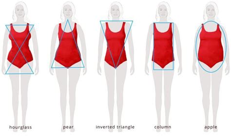 Figure: Understanding the Body Shape of Alina Sabrina