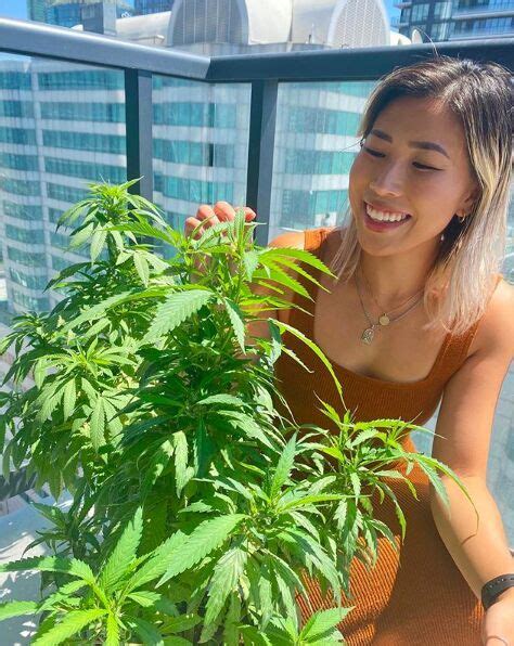 From Elevation to Acclaim: Exploring the Tallness of the Voluptuous Cannabis Enthusiast and its Impact on Her Public Perception