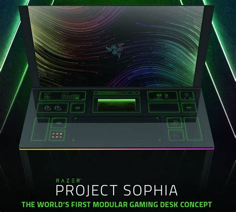 Future Plans and Projects of Sophia D