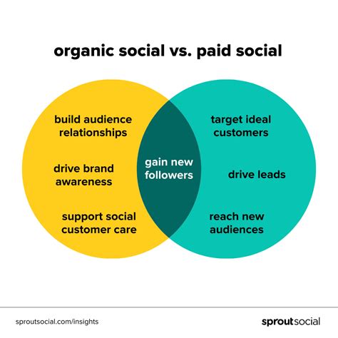 Harness Social Media Platforms to Drive Organic Website Traffic