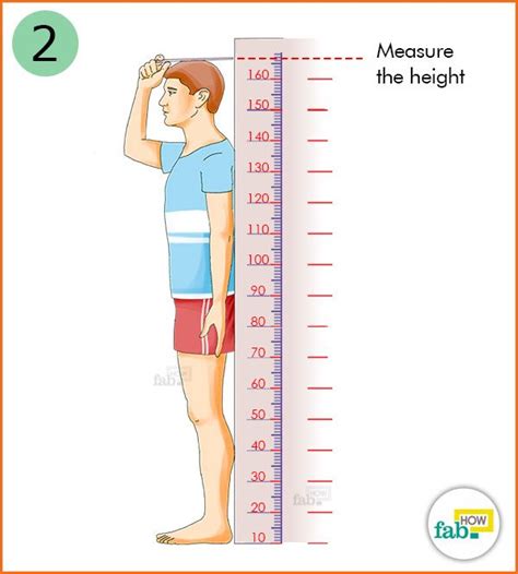 Height, Figures, and Other Measurements