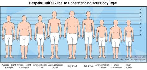 Height: Striking Profile or Delicate Stature?