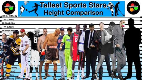 Height: Tallest Among the Stars