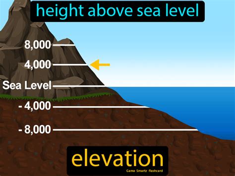 Height Insights: Discovering Roxy Bugatti's Elevation