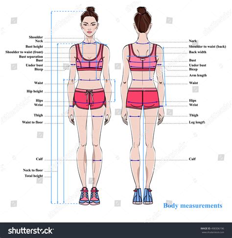 Height and Figure: A Model's Measurements