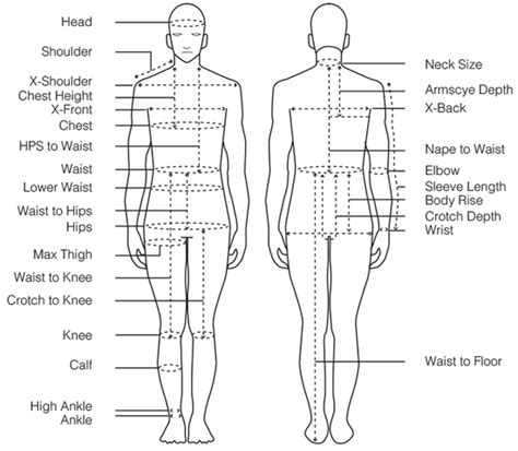 Height and Figure: All the Essential Details