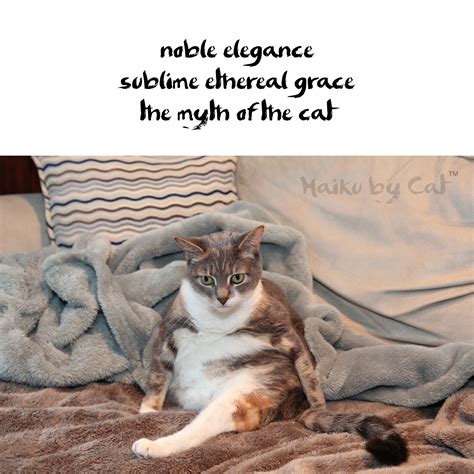 Influence and Impact of Grace Cat on Society