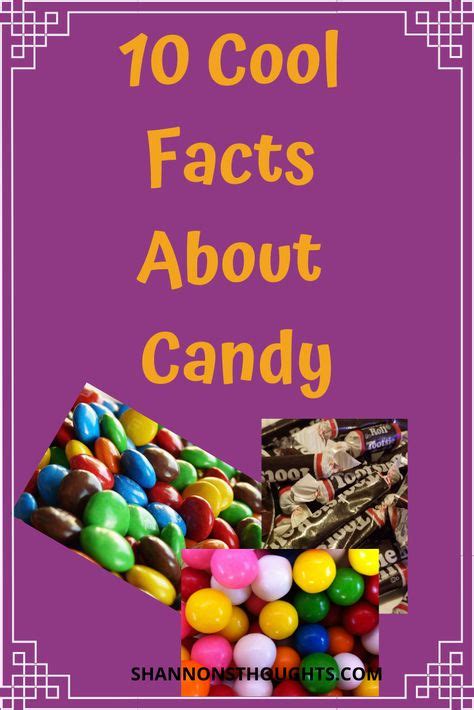 Interesting Facts about Candy Cat