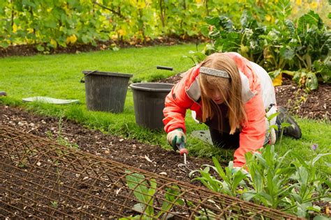Journey into Horticulture: Elizabeth Lawrence's Path to Becoming a Gardening Expert