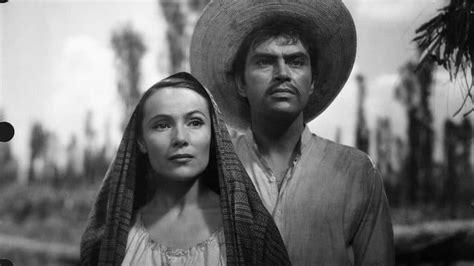 Legacy and Influence in the Mexican Film Industry