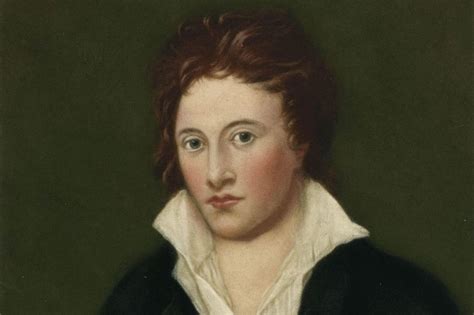 Legacy and Literary Influence: The Enduring Impact of Shelley's Contributions to Literature